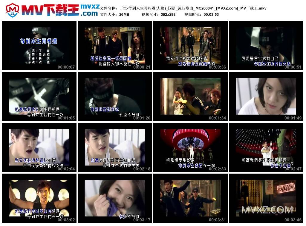 丁童-等到来生再相遇(人物)_国语_流行歌曲_MC200841